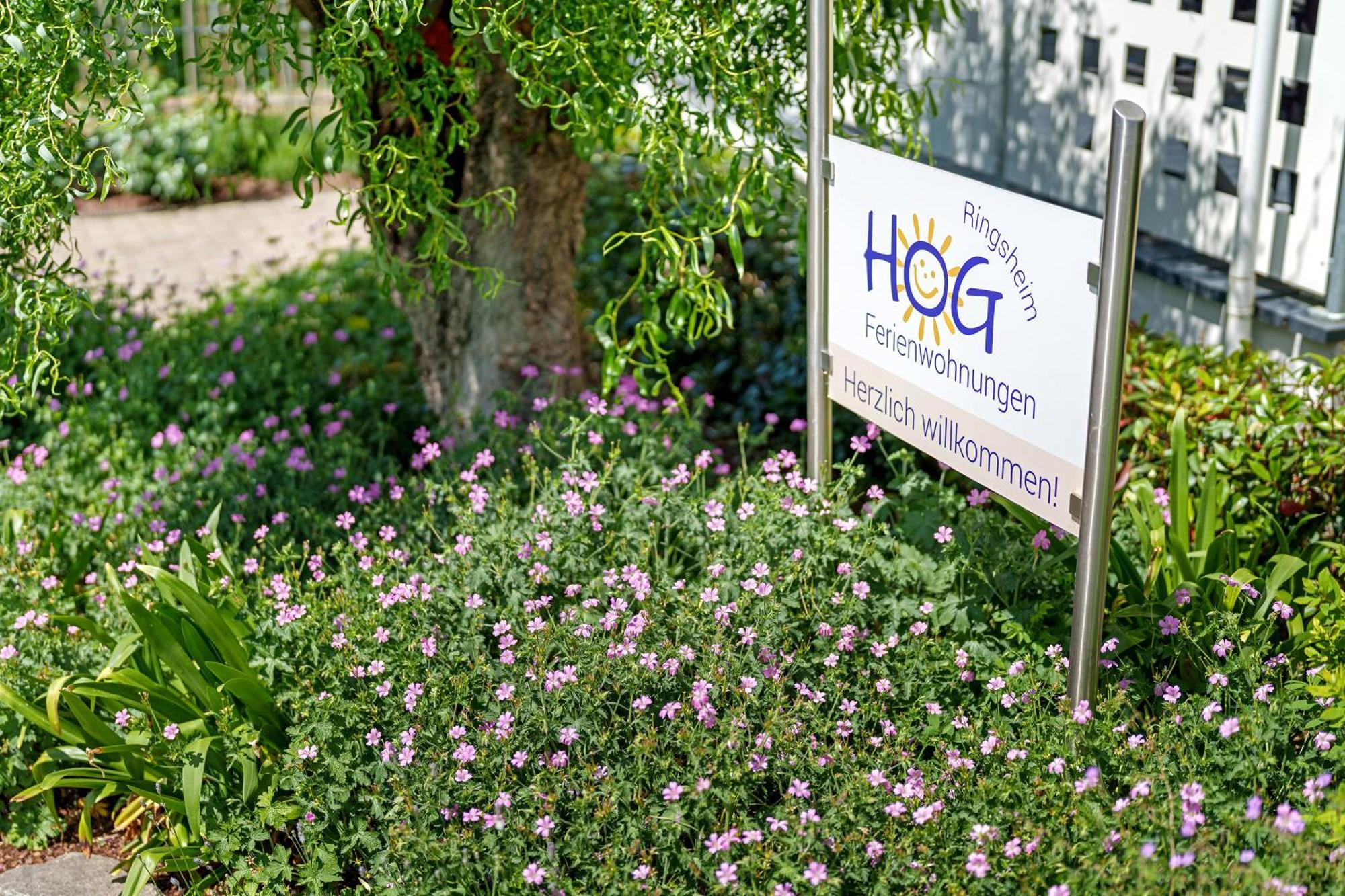 Ferienwohnungen Hog , Ringsheim Exterior photo